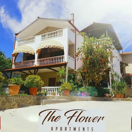 The Flower Apartments Τορώνη Εξωτερικό φωτογραφία